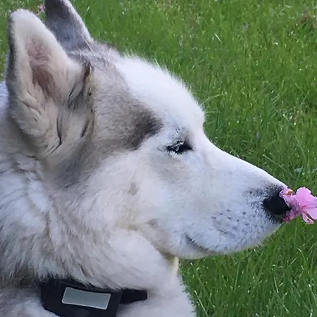 Casa vacanze Moulin De Coupigny Fontenille-Saint-Martin-d'Entraigues