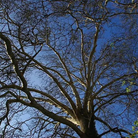 Moulin De Coupigny * Fontenille-Saint-Martin-d'Entraigues