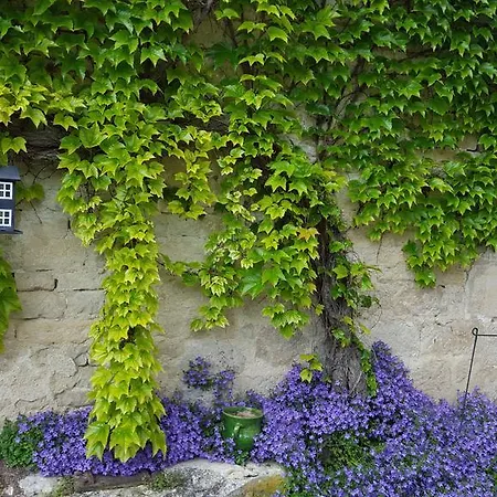 Moulin De Coupigny Fontenille-Saint-Martin-d'Entraigues