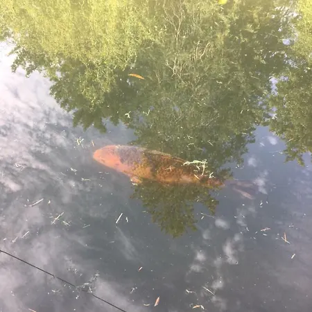 Casa vacanze Moulin De Coupigny Fontenille-Saint-Martin-d'Entraigues