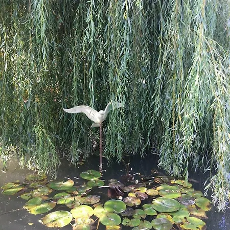 Moulin De Coupigny Fontenille-Saint-Martin-d'Entraigues