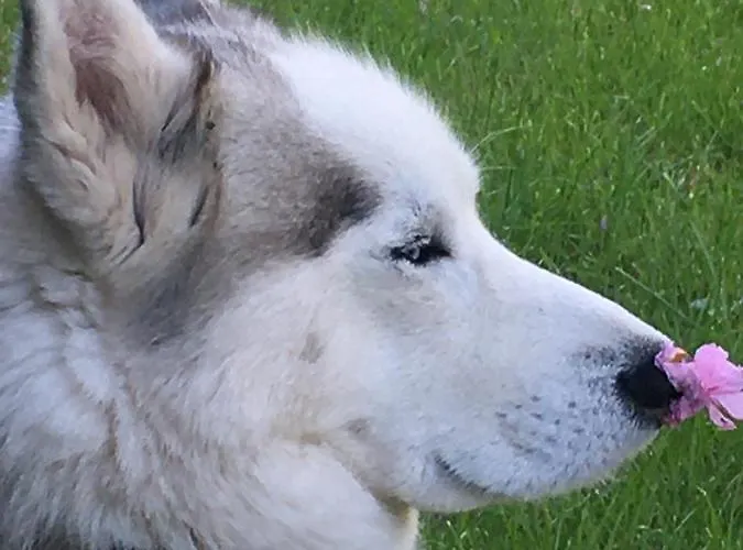 Casa de Férias Moulin De Coupigny Fontenille-Saint-Martin-d'Entraigues