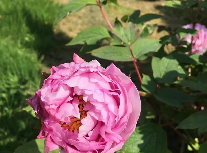 Moulin De Coupigny Fontenille-Saint-Martin-d'Entraigues