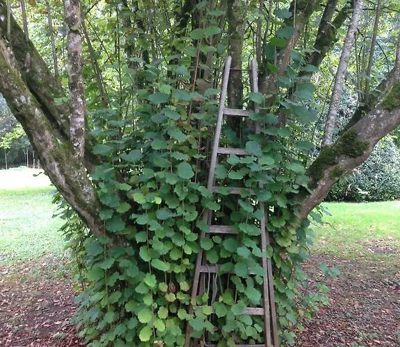 Casa de Férias Moulin De Coupigny