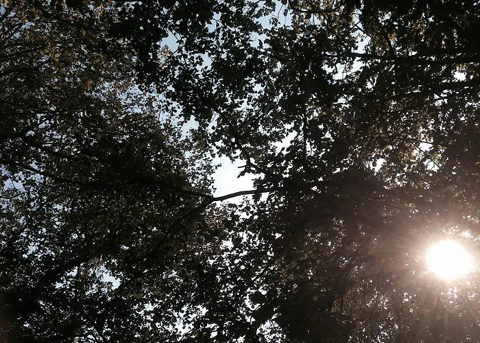 Casa de Férias Moulin De Coupigny *