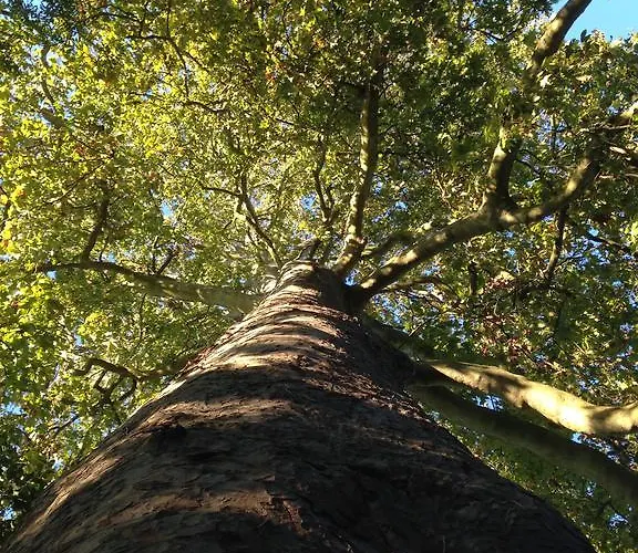 Moulin De Coupigny Casa de Férias Fontenille-Saint-Martin-d'Entraigues