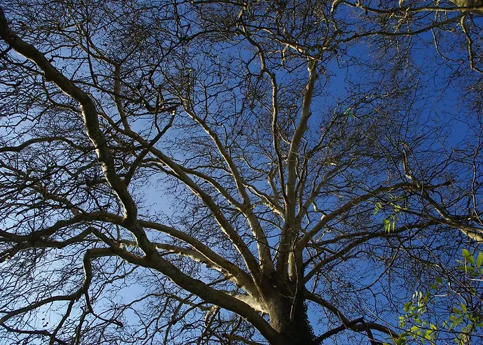Moulin De Coupigny * Fontenille-Saint-Martin-d'Entraigues