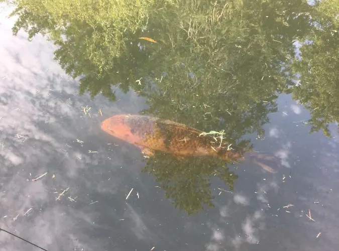 Casa de Férias Moulin De Coupigny Fontenille-Saint-Martin-d'Entraigues
