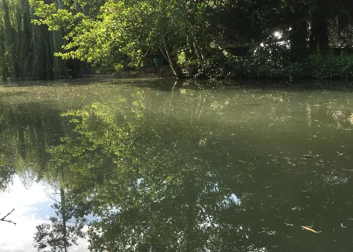 Moulin De Coupigny Fontenille-Saint-Martin-d'Entraigues