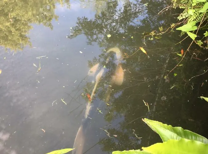 Moulin De Coupigny Casa de Férias Fontenille-Saint-Martin-d'Entraigues