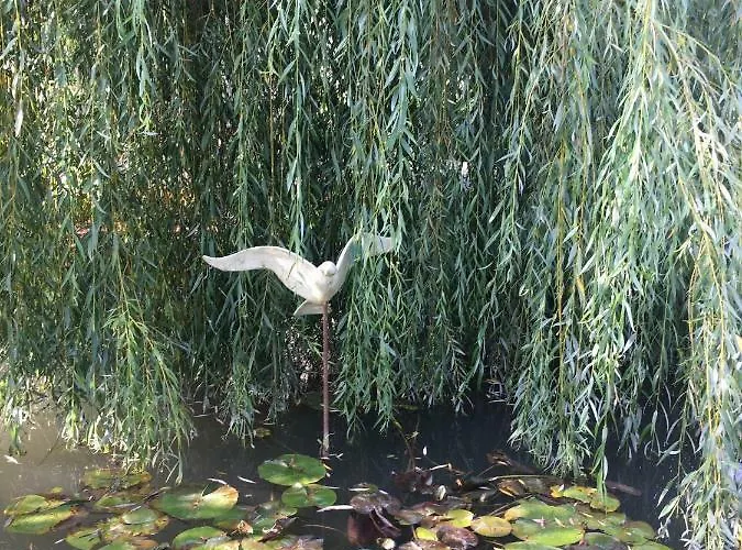 Moulin De Coupigny Fontenille-Saint-Martin-d'Entraigues